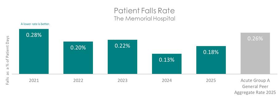 MEM FALLS 2026 D.jpg